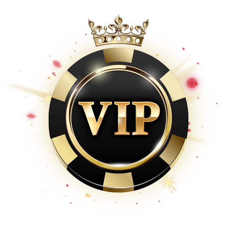 vip program